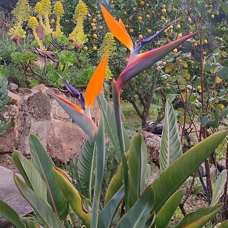 Villa Boheme Costa Brava 칼론제 외부 사진