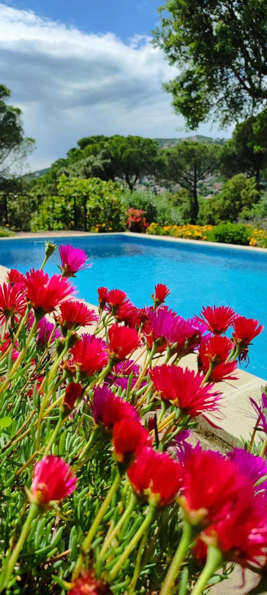 Villa Boheme Costa Brava 칼론제 외부 사진