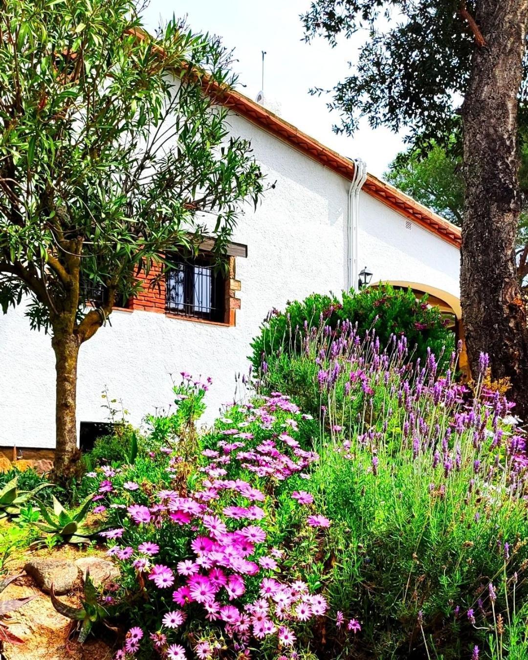 Villa Boheme Costa Brava 칼론제 외부 사진